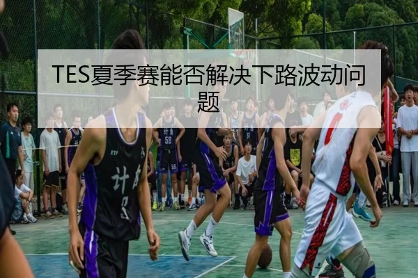 TES夏季赛能否解决下路波动问题