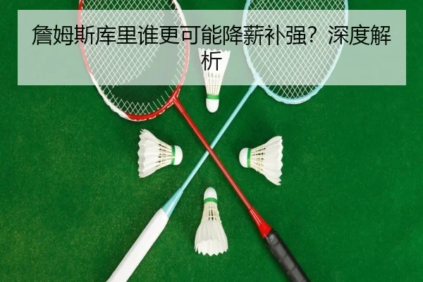 詹姆斯库里谁更可能降薪补强？深度解析